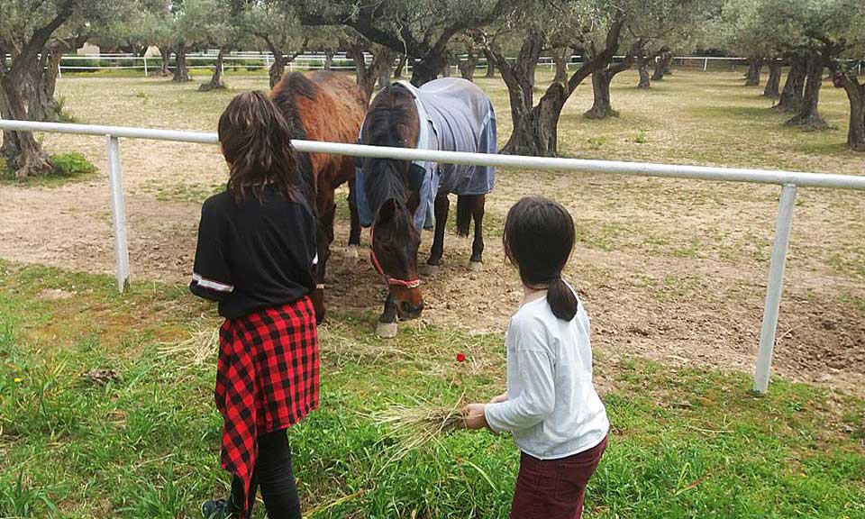 step2school_metadrasi_earthday_a Metadrasi - step2school metadrasi earthday a
