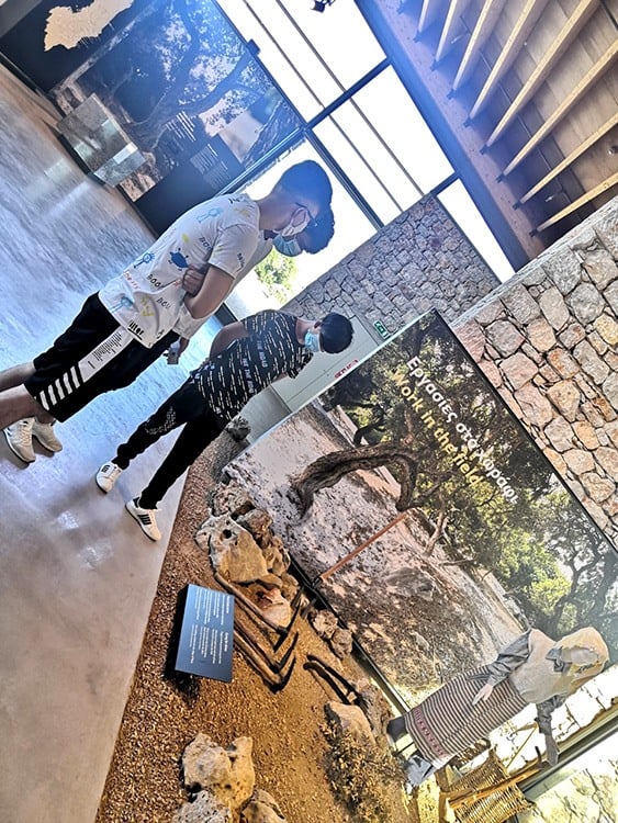 Metadrasi - metadrasi chios mastic museum 2