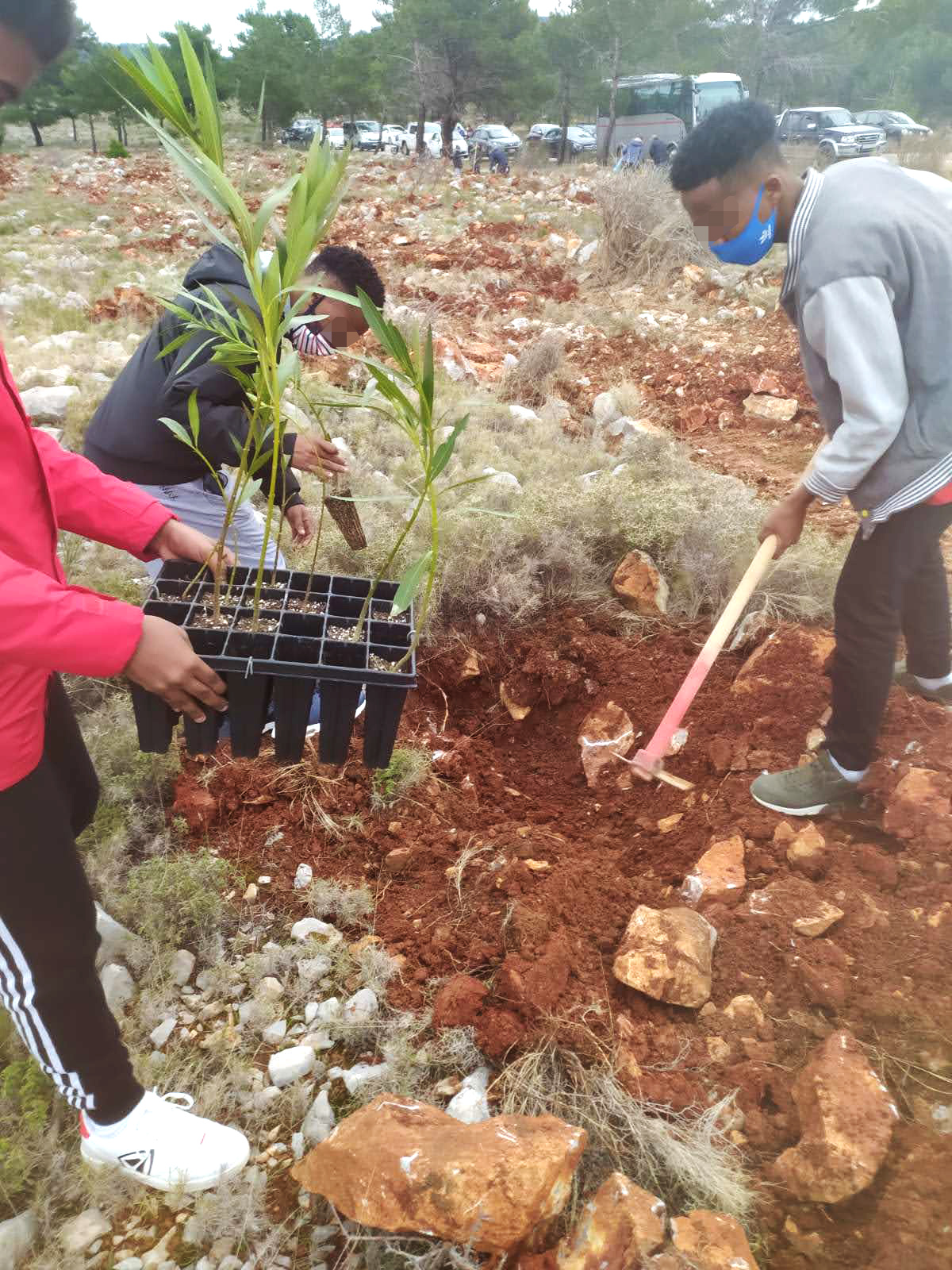 Metadrasi - The unaccompanied children of our Chios shelter plant trees! 2 Metadrasi - METAdrasi chios tree planting 1
