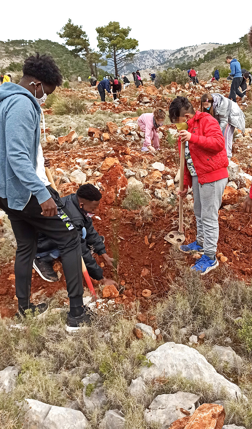Metadrasi - The unaccompanied children of our Chios shelter plant trees! 4 Metadrasi - METAdrasi chios tree planting 2