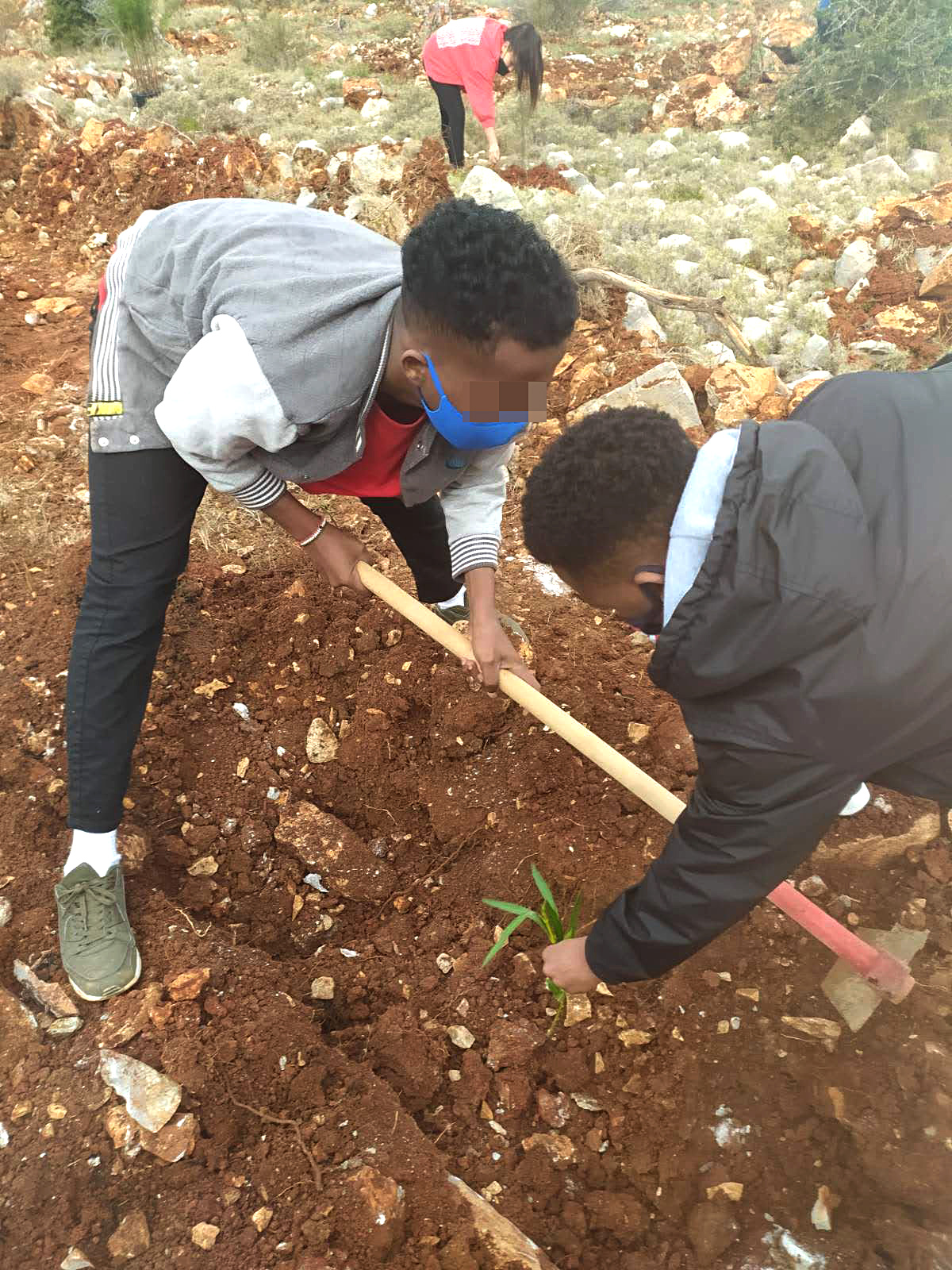 Metadrasi - The unaccompanied children of our Chios shelter plant trees! 5 Metadrasi - METAdrasi chios tree planting 3