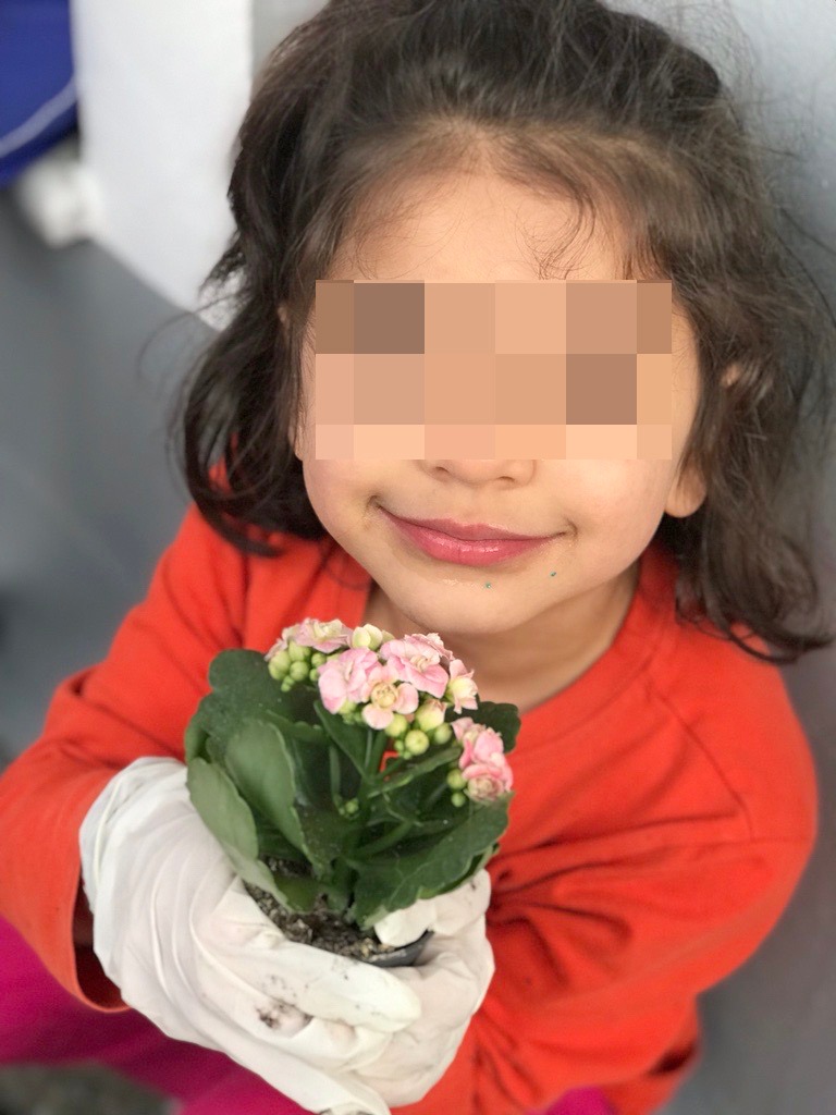 Metadrasi - Τhe unaccompanied children transform our Accommodation Facility in Samos, into a house of flowers 5 Metadrasi - METAdrasi Samos flowers 3