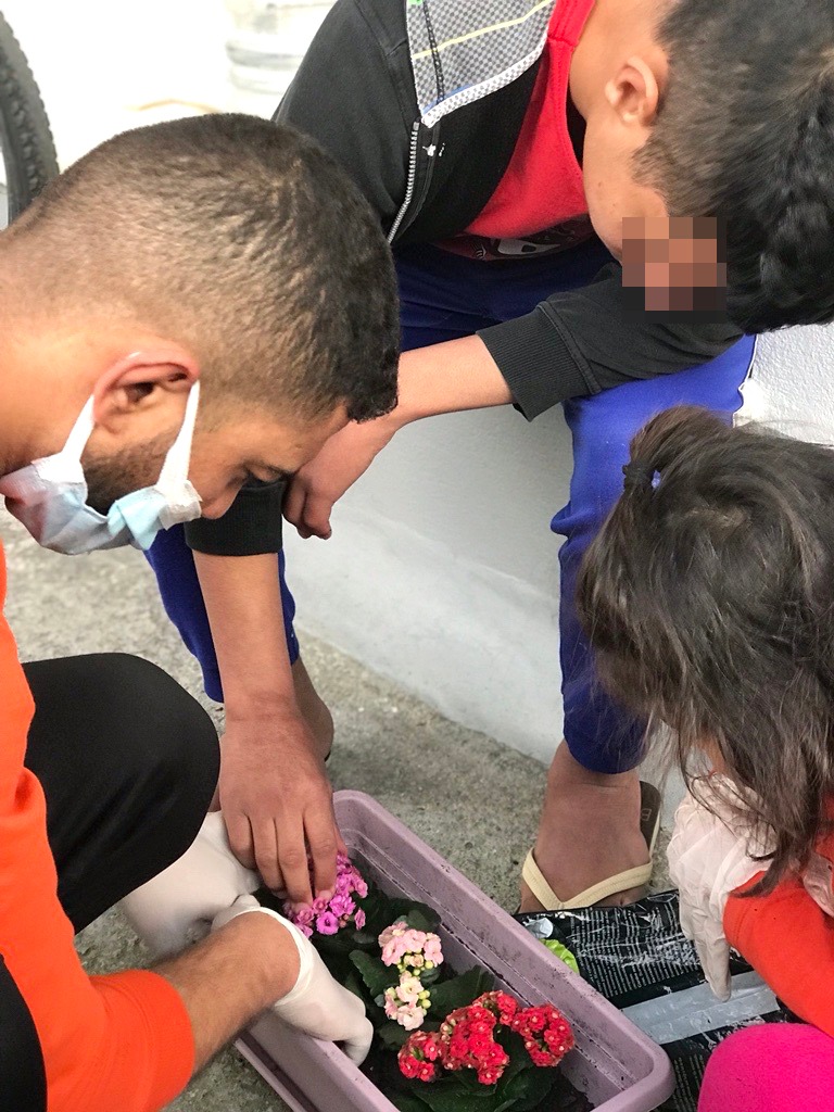 Metadrasi - Τhe unaccompanied children transform our Accommodation Facility in Samos, into a house of flowers 7 Metadrasi - METAdrasi Samos flowers 6