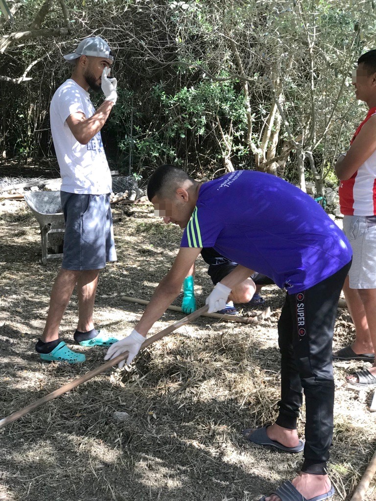 Metadrasi - How a small piece of land can bring so much happiness to unaccompanied children! 8 Metadrasi - METAdrasi Samos garden 8
