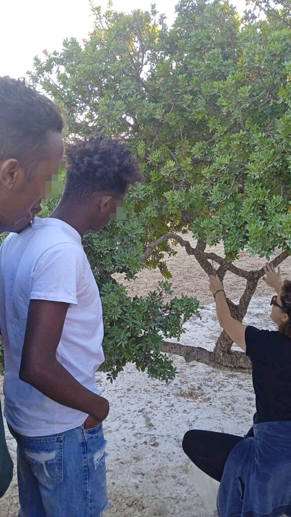 Metadrasi - The unaccompanied children of our accommodation facility in Chios admire the mastic trees 5 Metadrasi - METAdrasi mastic trees 4 1