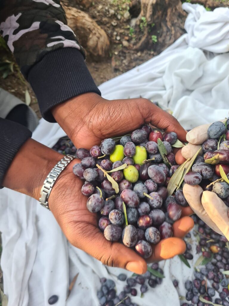 With bags in their hands, the unaccompanied children our...