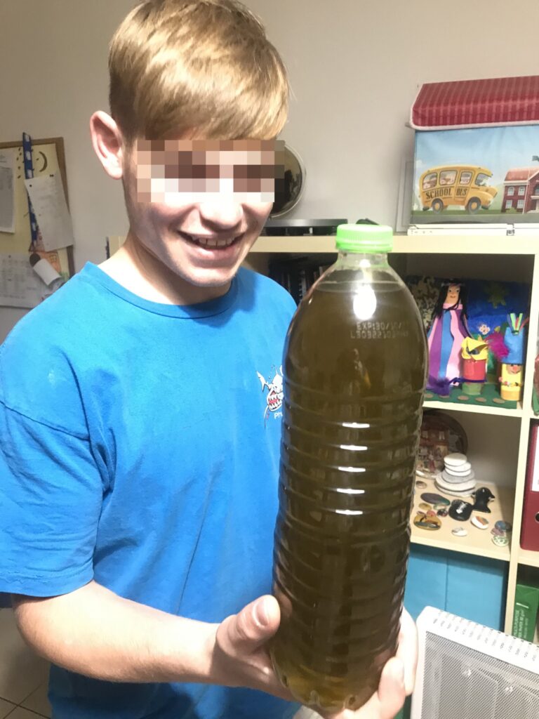 Metadrasi - Olive Harvest by the children of our Accommodation Facility in Samos 3 Metadrasi - METAdrasi Facility Samos 2