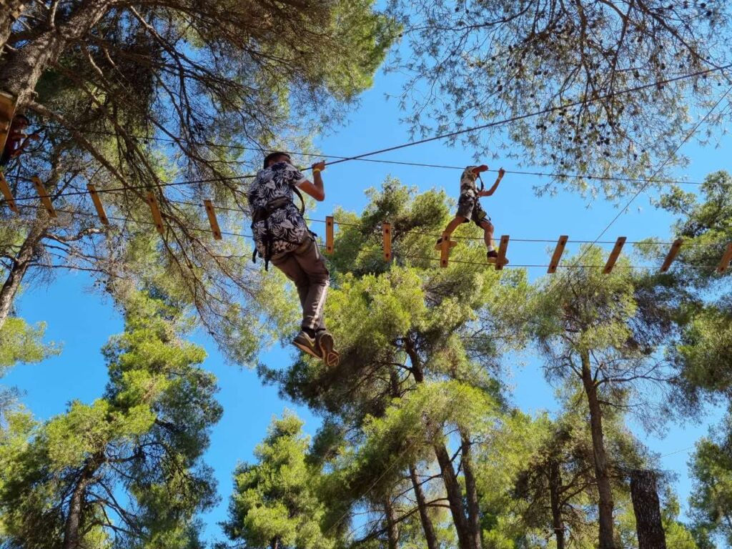 Metadrasi - Together in Sport – Ιούλιος-Αύγουστος 2022 4 Metadrasi - METAdrasi Adventure Park 1