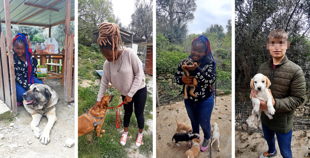 Metadrasi - Visit to a shelter for stray dogs in Samos on the occasion of World Stray Animals Day 3 Metadrasi - METAdrasi Strays of Samos 1 1