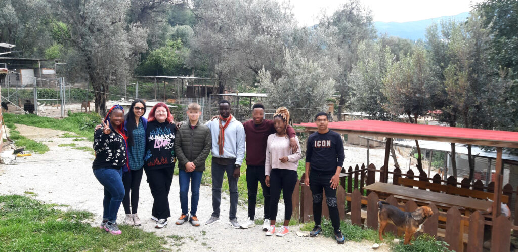 Metadrasi - Visit to a shelter for stray dogs in Samos on the occasion of World Stray Animals Day 2 Metadrasi - METAdrasi Strays of Samos 2