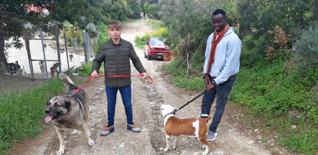 Metadrasi - Visit to a shelter for stray dogs in Samos on the occasion of World Stray Animals Day 4 Metadrasi - METAdrasi Strays of Samos 3