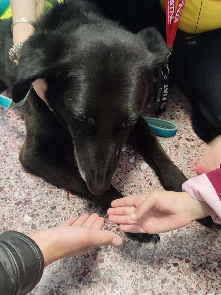 Metadrasi - Two therapy dogs visit our education center 4 Metadrasi - METAdrasi SAPT 2