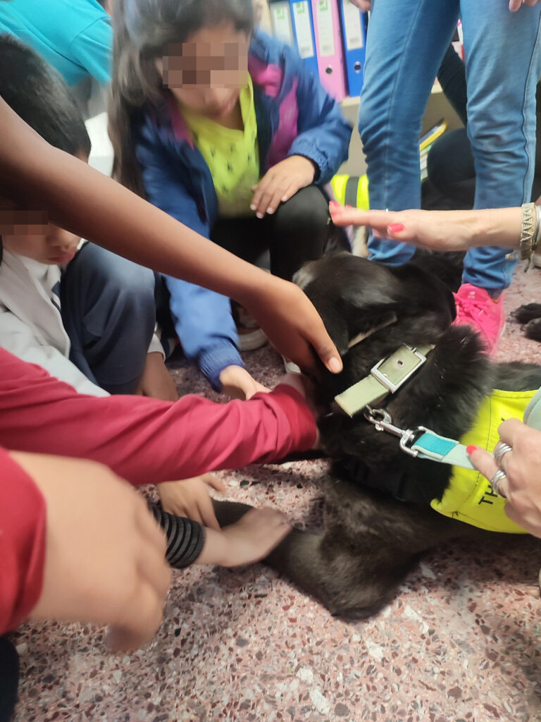 Metadrasi - Two therapy dogs visit our education center 3 Metadrasi - METAdrasi SAPT 4