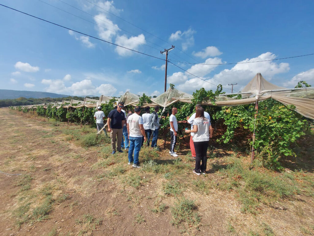 A two-day workshop on vine cultivation and wine production...