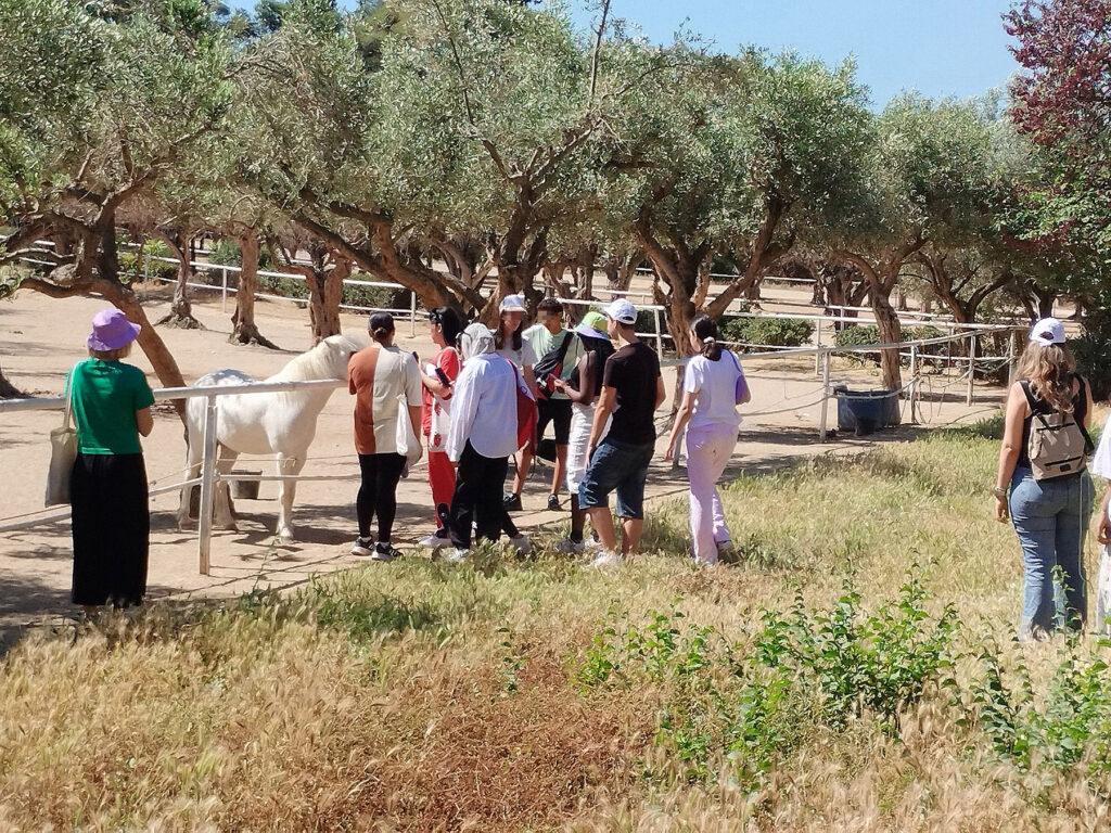 Metadrasi - Together in Sport - Phase II: Μάιος - Ιούνιος 2024 2 Metadrasi - IMG 20240524 105044