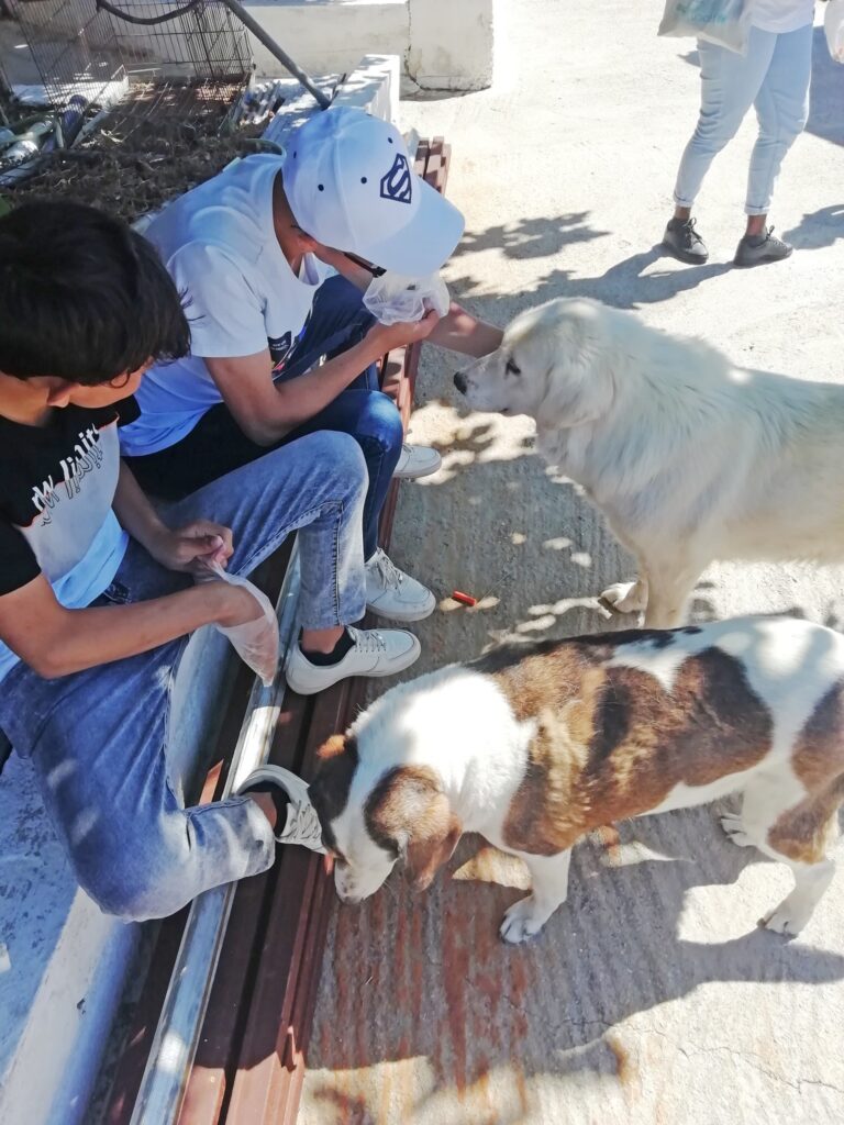 With enthusiasm evident on their faces, unaccompanied children living in...
