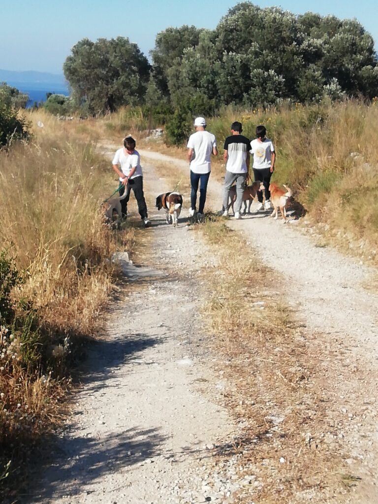Metadrasi - Unaccompanied children of the Samos Accommodation Centre visit the Animal Welfare Association of the island 2 Metadrasi - METAdrasi Samos shelter 4