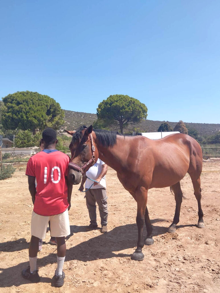 Metadrasi - Unaccompanied children discover the beneficial effects that horses have on humans 3 Metadrasi - METAdrasi Hippolysis 2