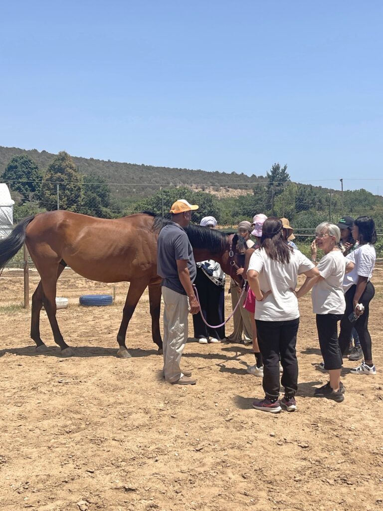 Metadrasi - Unaccompanied children discover the beneficial effects that horses have on humans 4 Metadrasi - METAdrasi Hippolysis 3