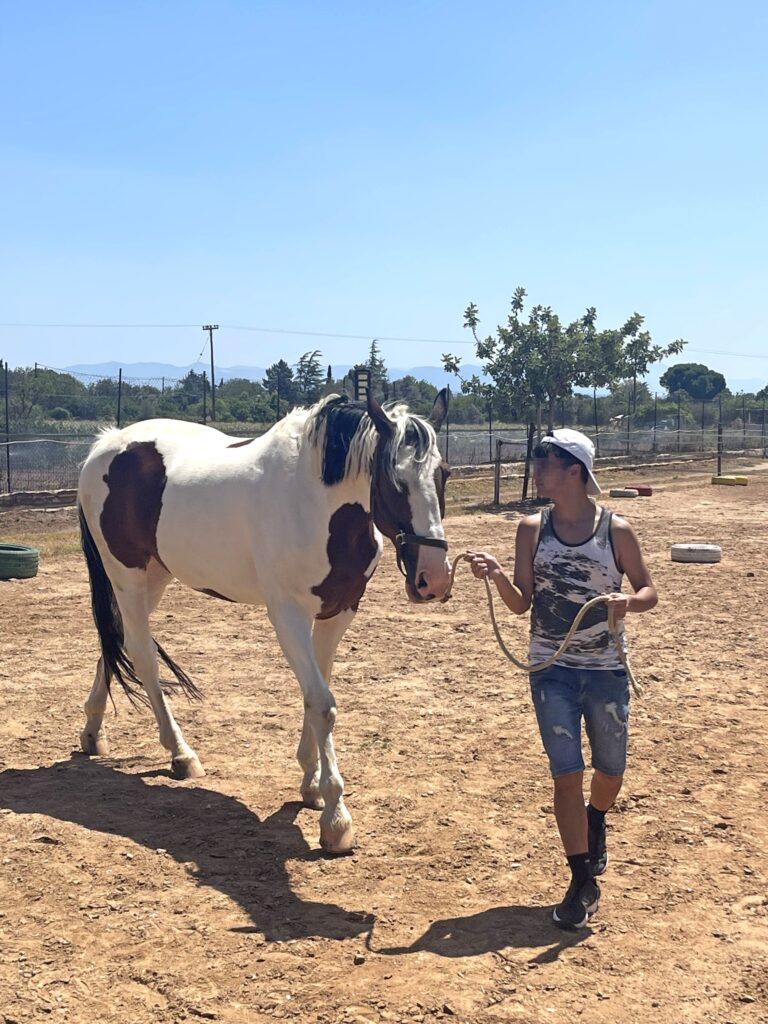 Metadrasi - Unaccompanied children discover the beneficial effects that horses have on humans 5 Metadrasi - METAdrasi Hippolysis 4