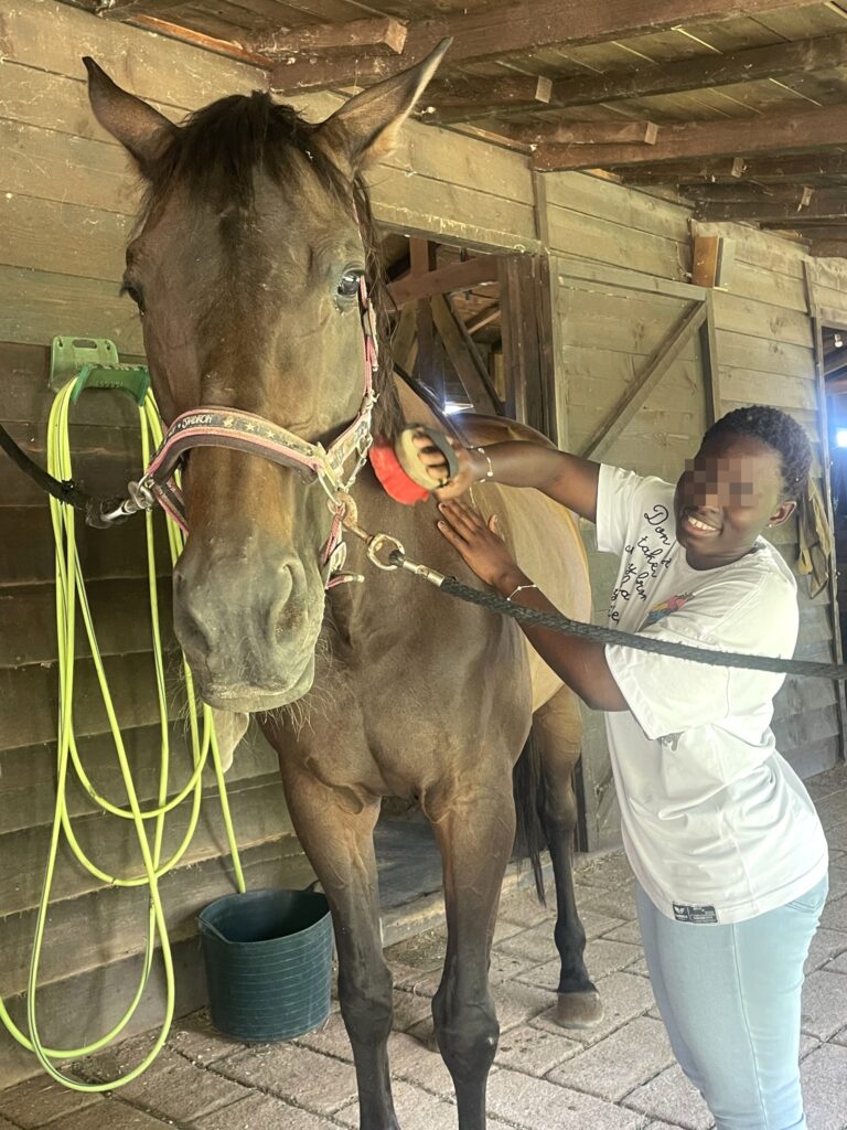 Metadrasi - Unaccompanied children discover the beneficial effects that horses have on humans 7 Metadrasi - METAdrasi Hippolysis 5