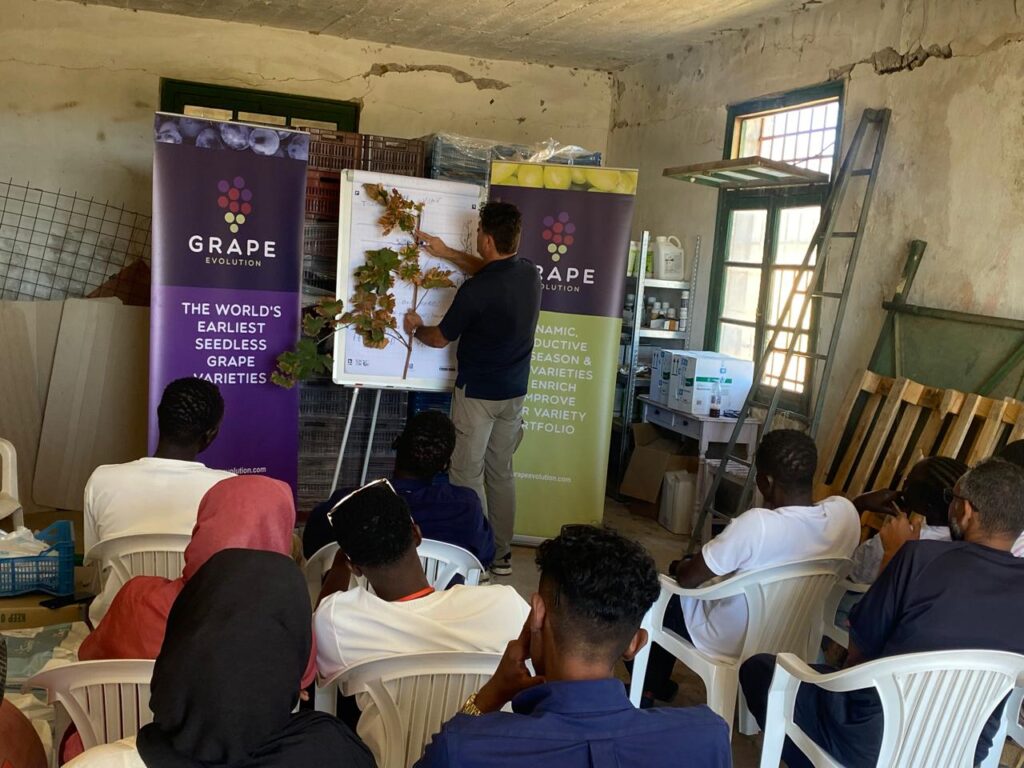 Metadrasi - "Stepping Stone" seminars for refugees and asylum seekers in Samos and Lesvos 4 Metadrasi - METAdrasi Stepping Stone Samos 3
