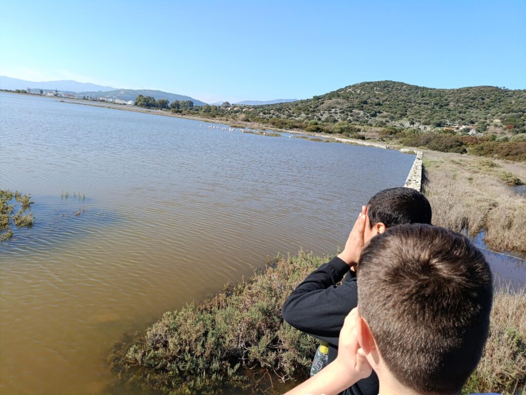 Metadrasi - Unaccompanied children of our accommodation facility in Samos admire the flamingos 4 Metadrasi - METAdrasi Samos shelter 3