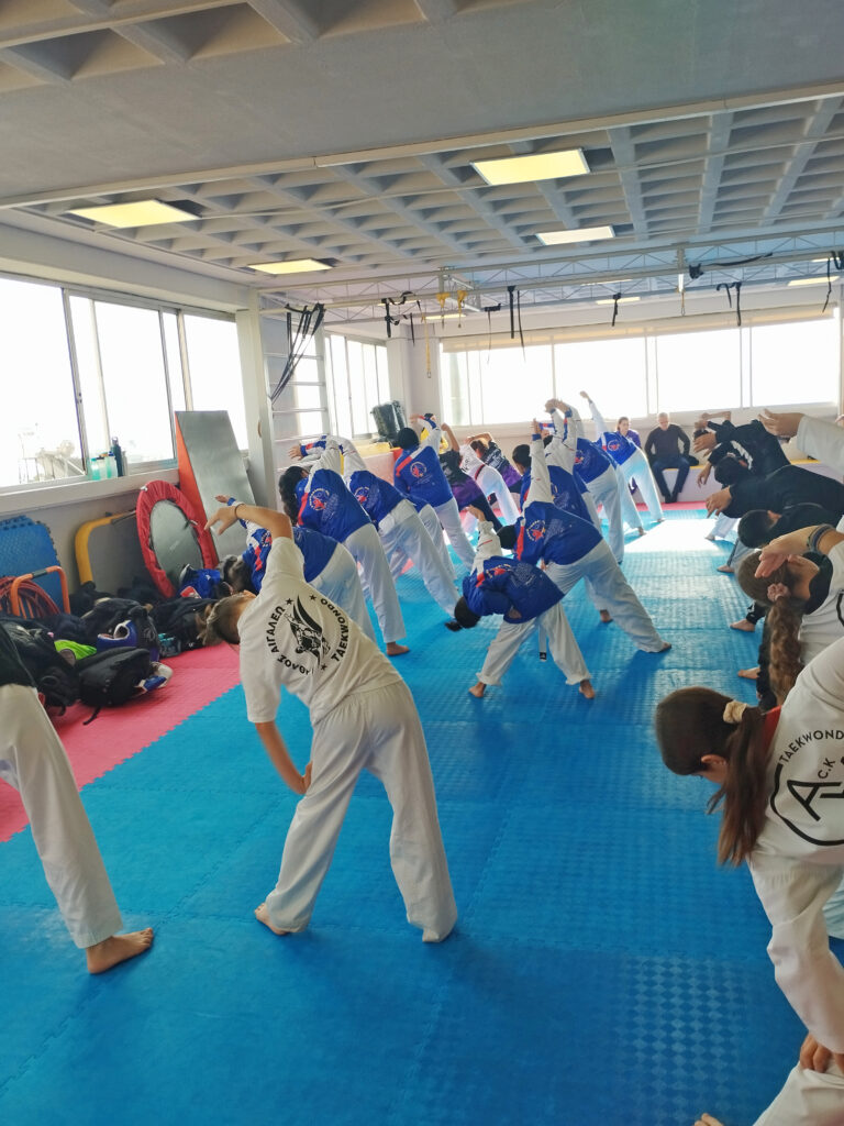 Metadrasi - Together in Sport – Phase II: Ιανουάριος-Φεβρουάριος 2025 2 Metadrasi - METAdrasi TiS II taekwondo
